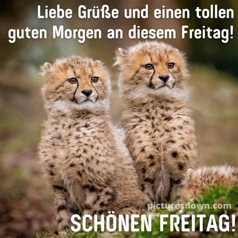 wunderschönen guten morgen freitag